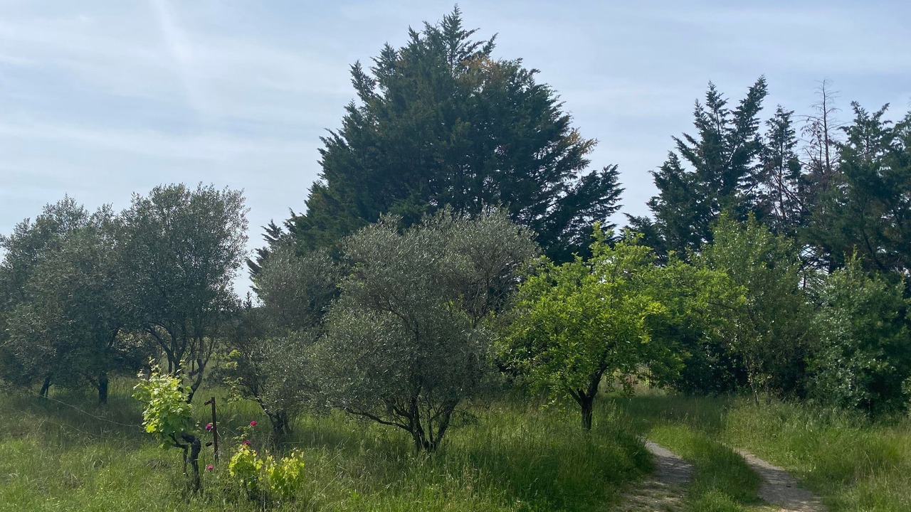 Photo of Outdoor in Saint-Mathieu-de-Treviers