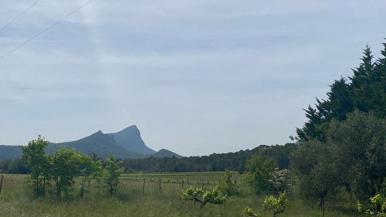 Photo of Outdoor in Saint-Mathieu-de-Treviers