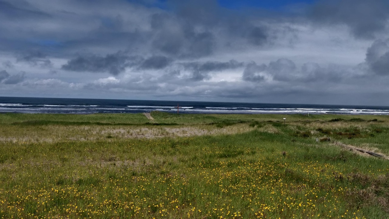 Photo of Others in Cohassett Beach