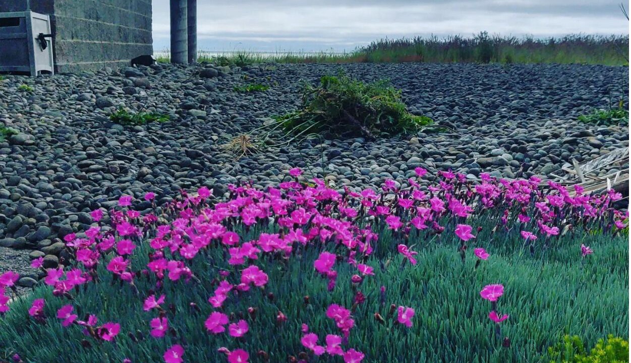 Photo of Outdoor in Cohassett Beach