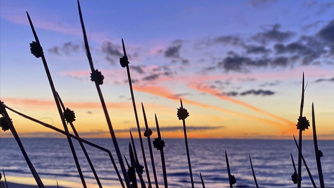 Photo of Others in Henley Beach