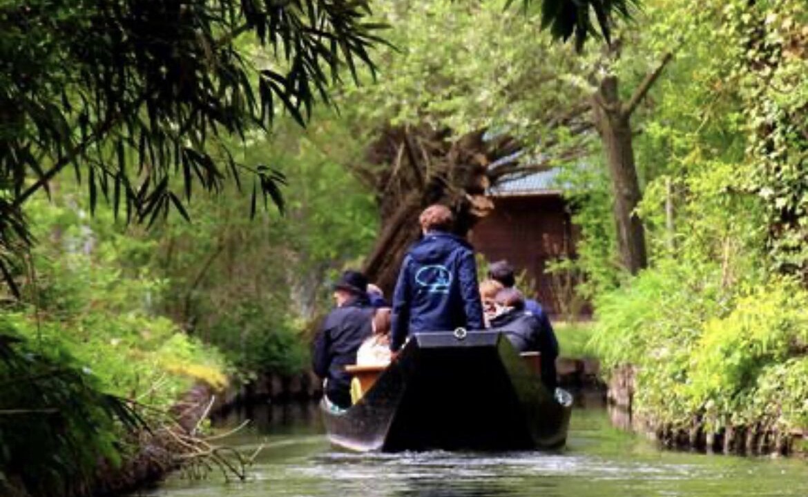 Photo of Outdoor in Saint-Acheul
