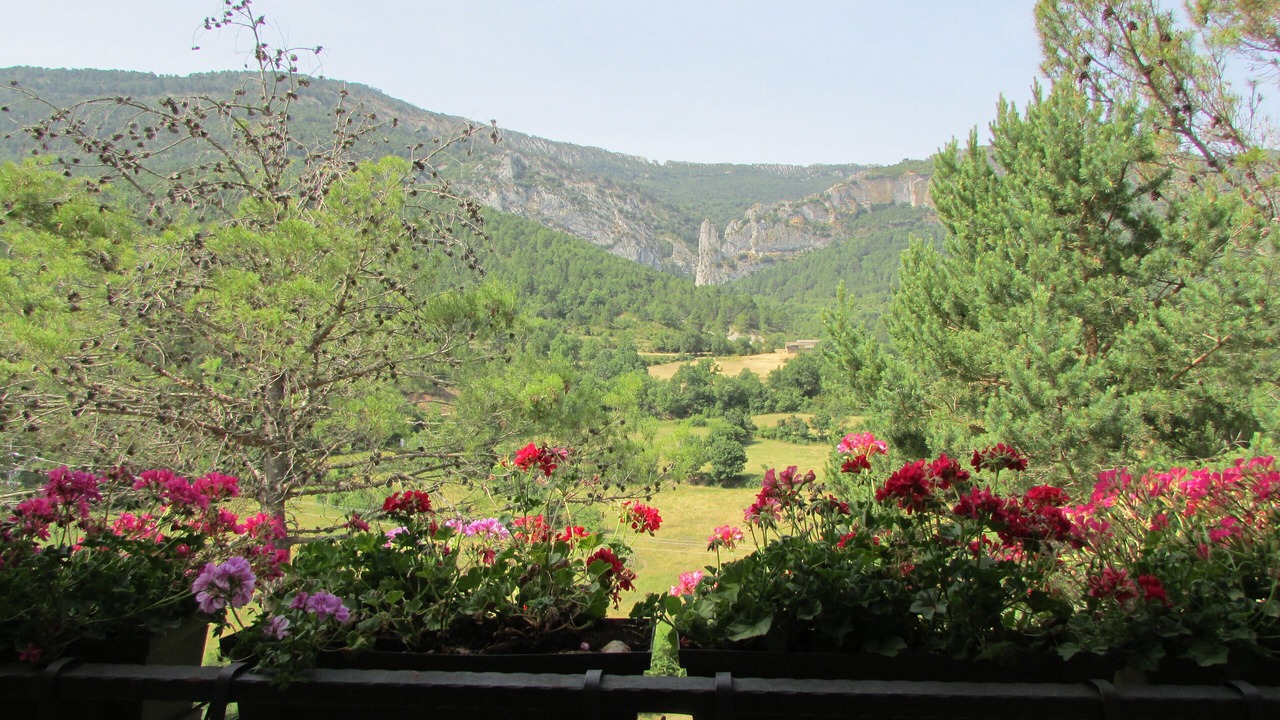 Photo of Outdoor in Villalangua