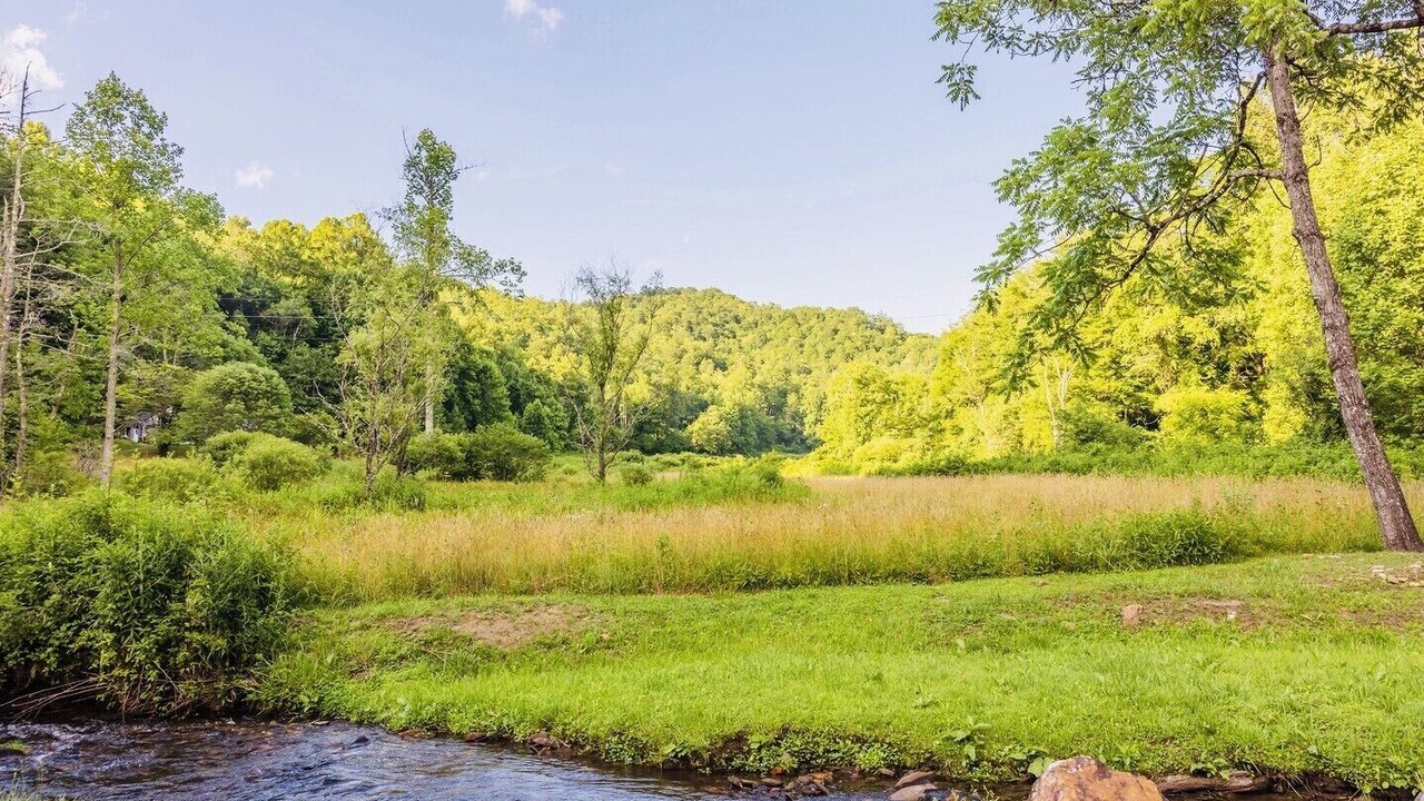 Photo of Outdoor in Topton