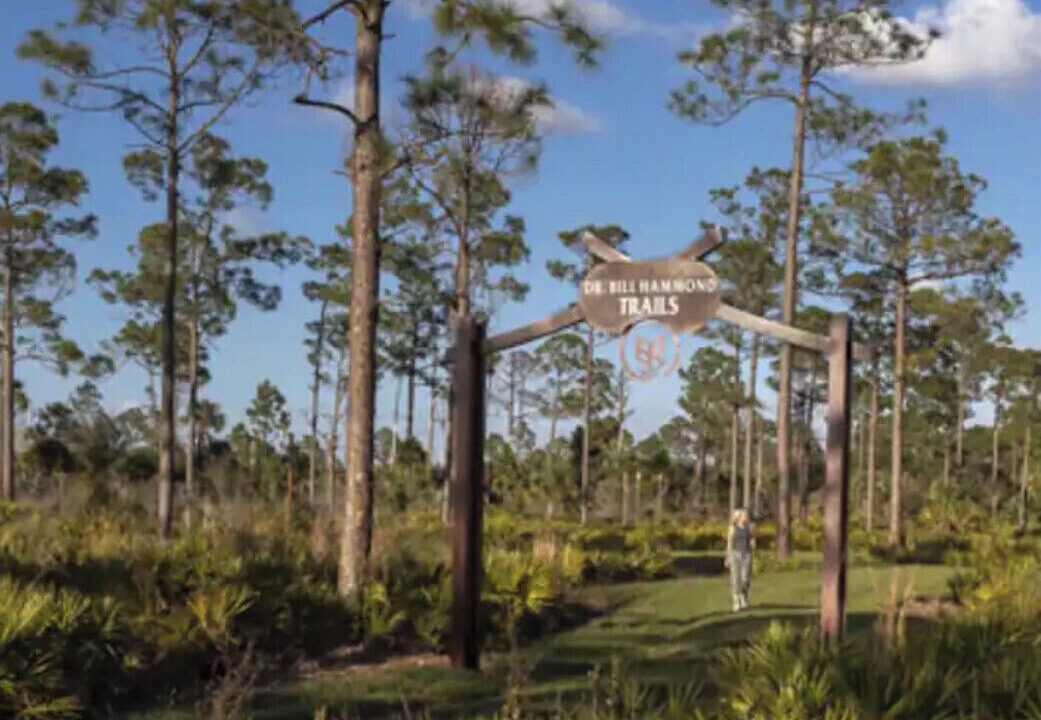 Photo of Outdoor in Biggar