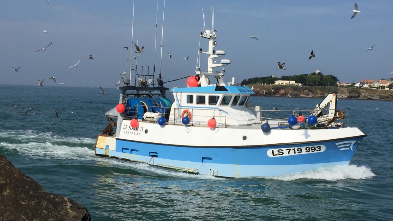 Photo of Others in Saint-Gilles-Croix-de-Vie