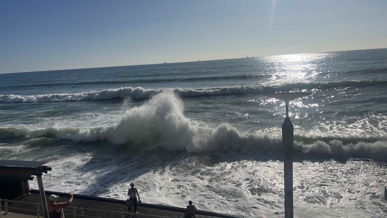 Photo of Others in Saint-Gilles-Croix-de-Vie