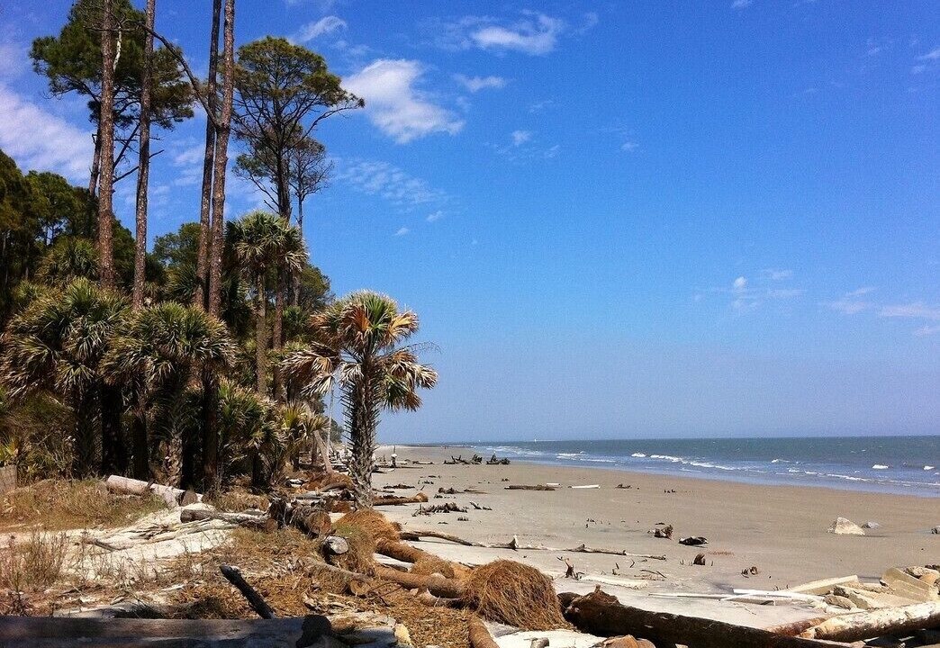 Photo of Outdoor in Port Royal