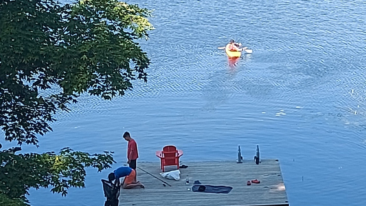 Photo of Others in McKellar