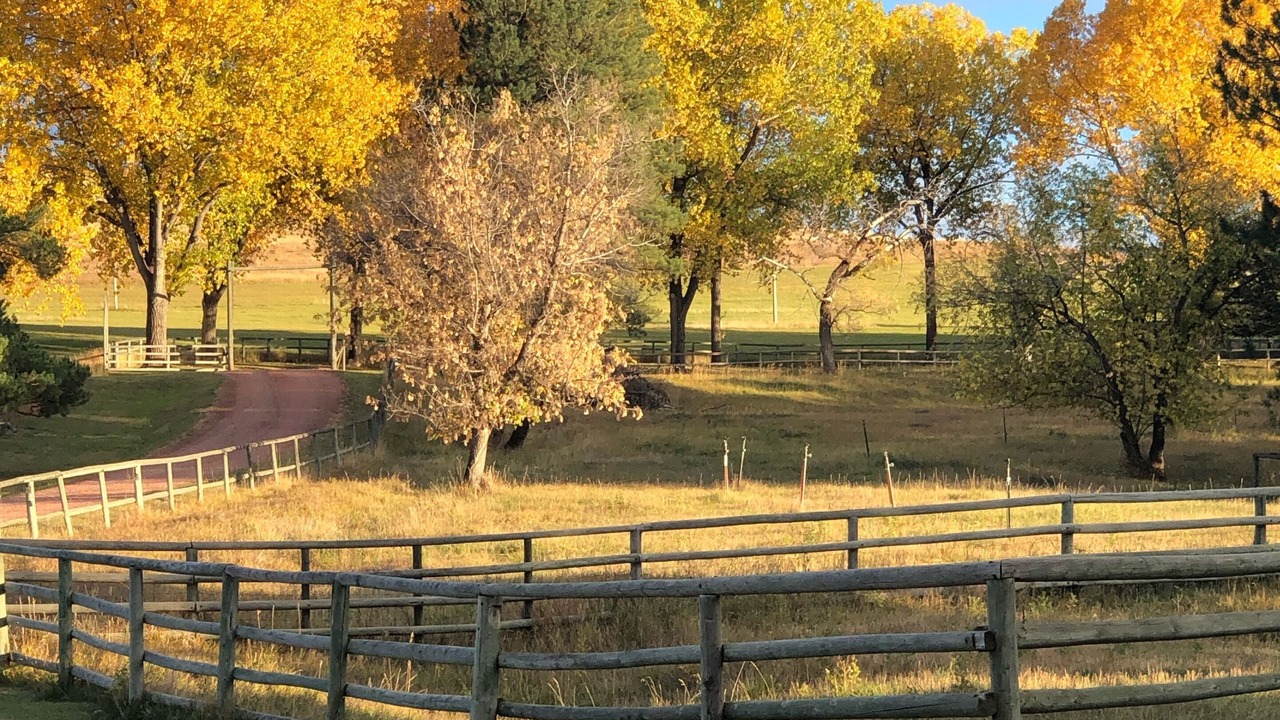 Photo of Outdoor in Sheridan