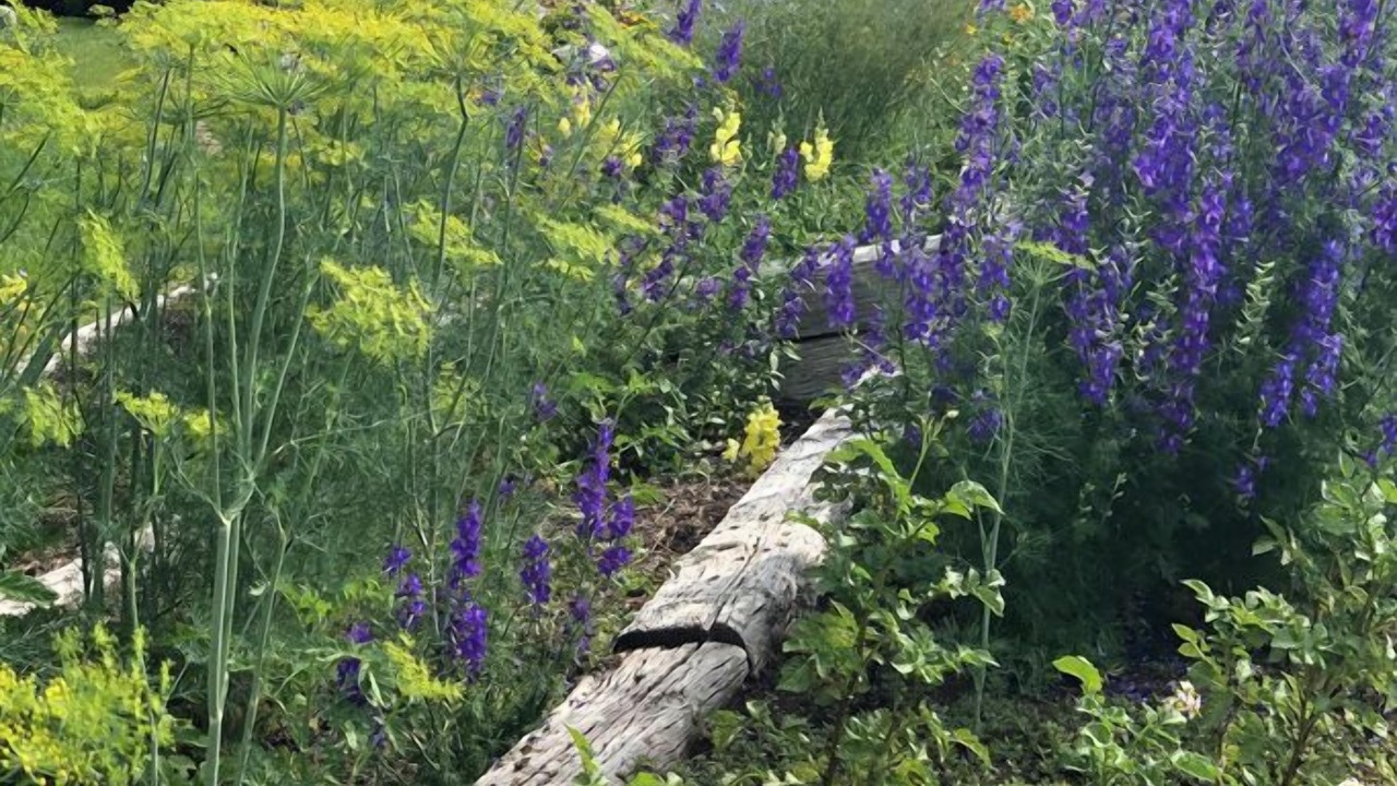Photo of Outdoor in Sheridan