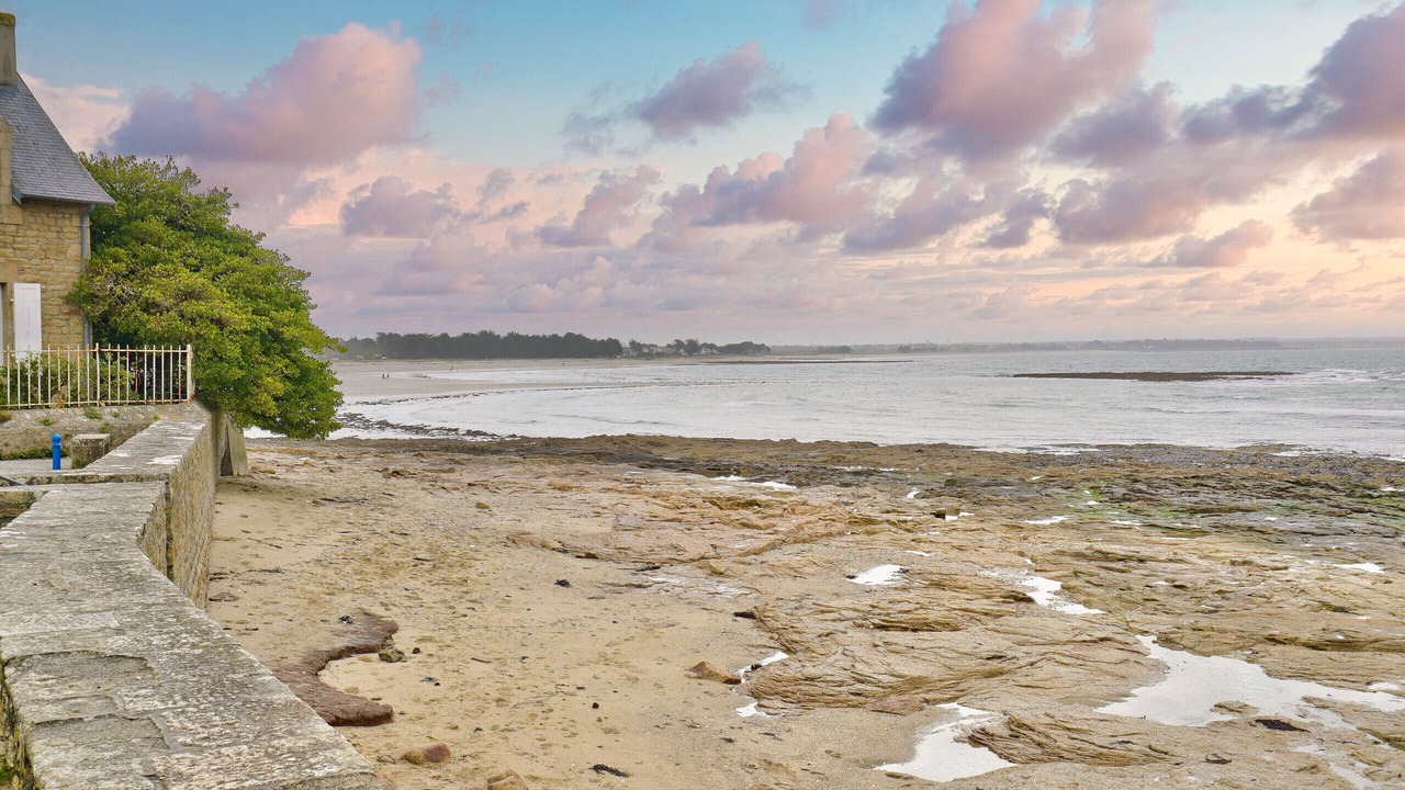 Photo of Others in Ile-Tudy