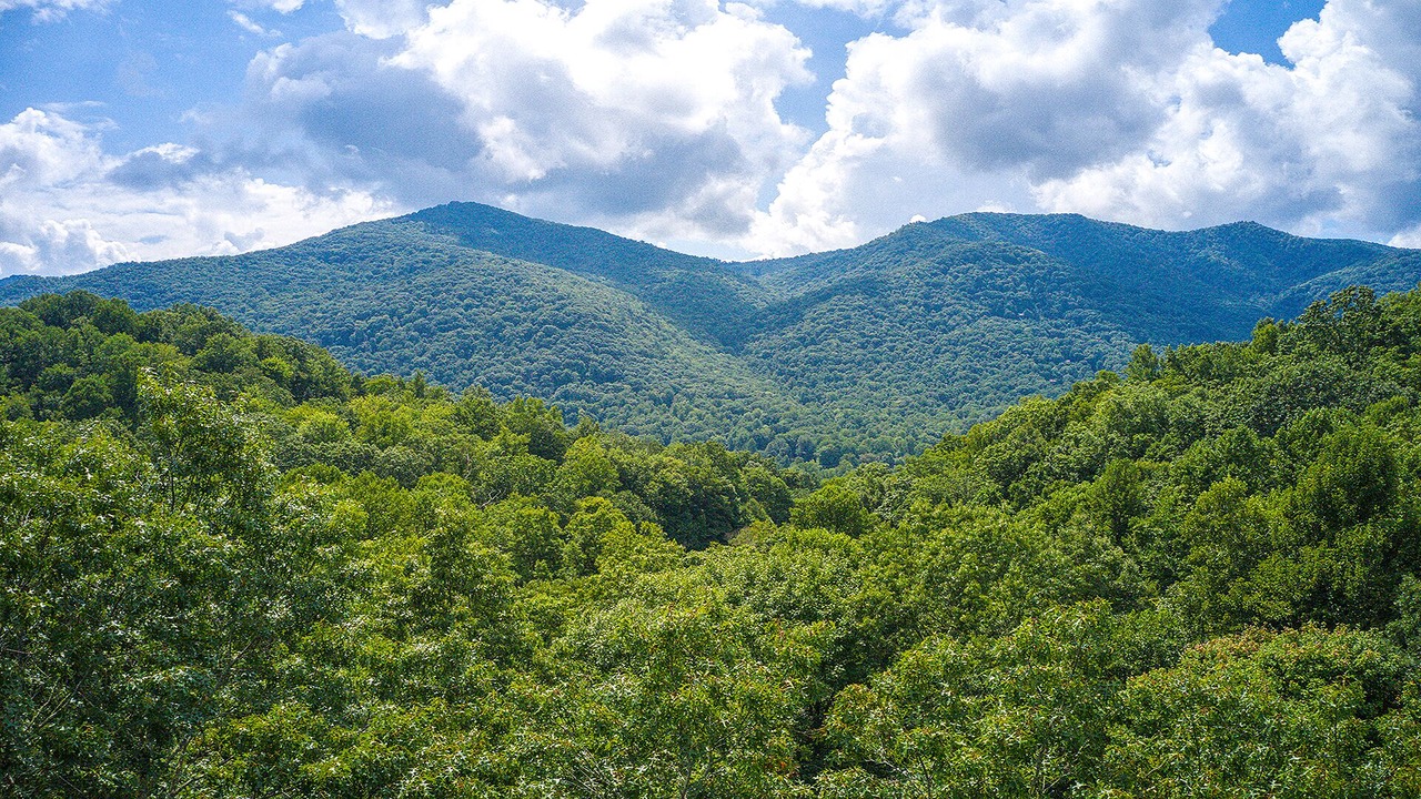 Photo of Others in Maggie Valley