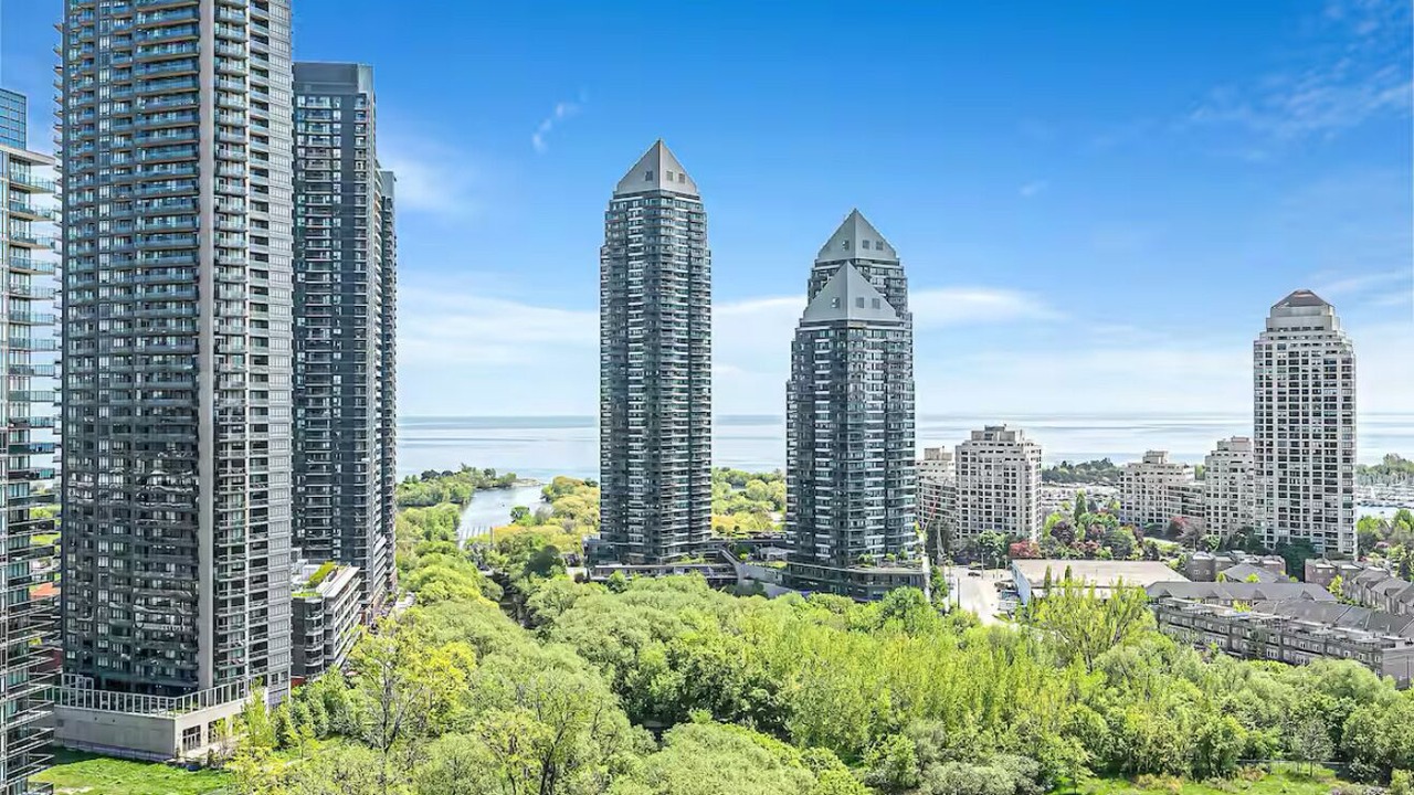Photo of Others in Mimico