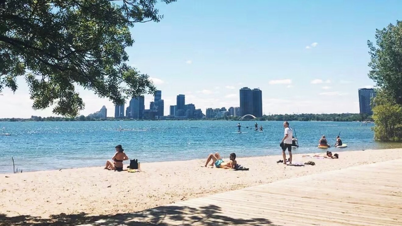 Photo of Others in Mimico