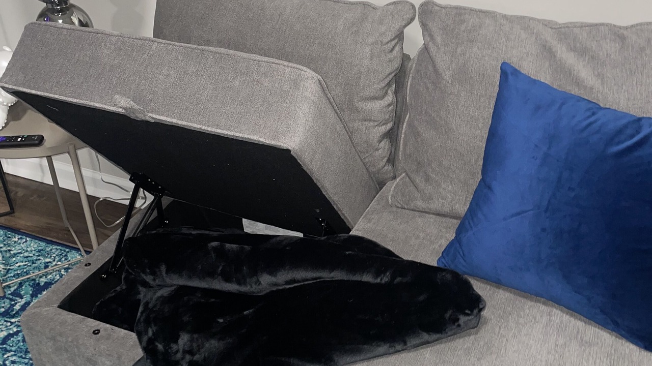 Photo of Livingroom in Spruce Hill