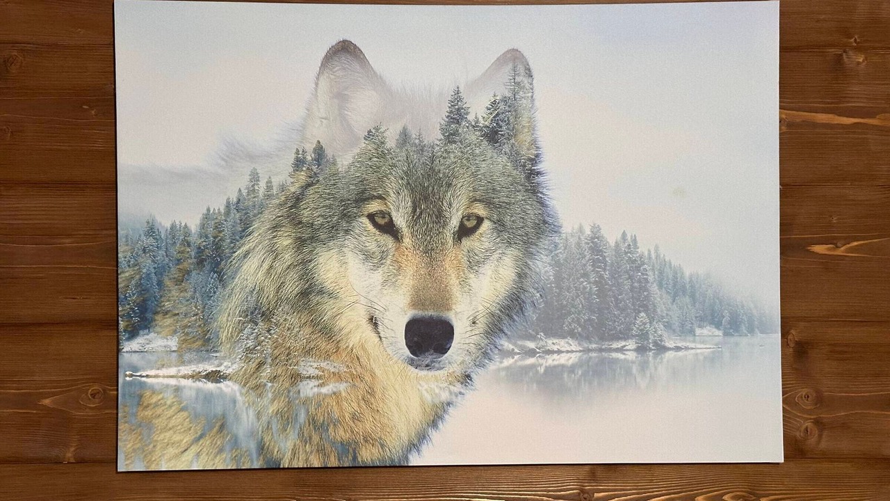 Photo of Others in Morillon