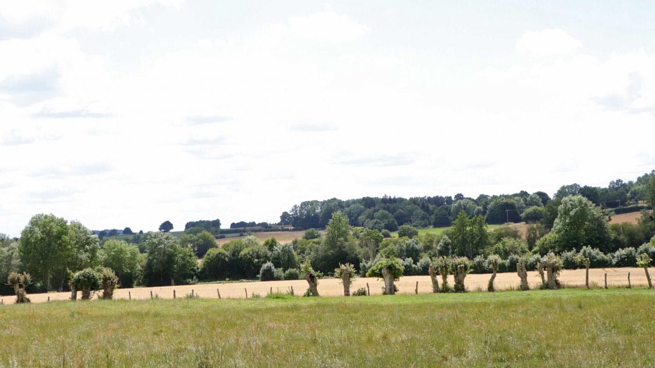 Photo of Others in Saint-Germain-de-Martigny
