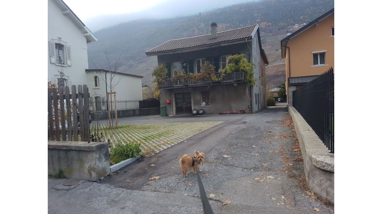Photo of Outdoor in Martigny