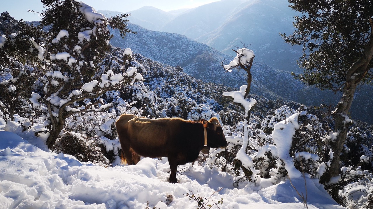 Photo of Outdoor in Sorede