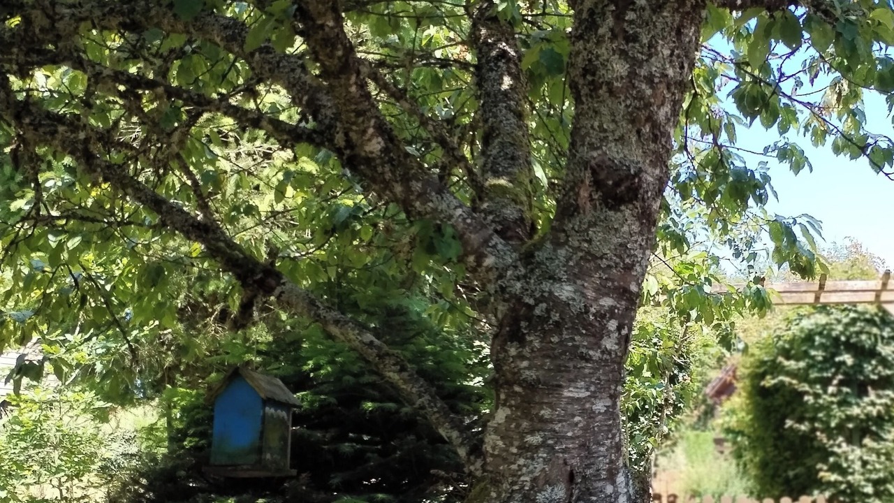 Photo of Outdoor in Moux-en-Morvan