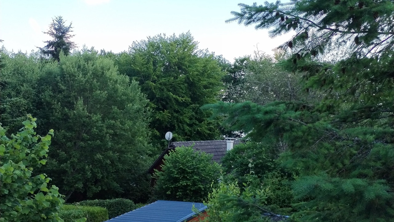 Photo of Others in Moux-en-Morvan