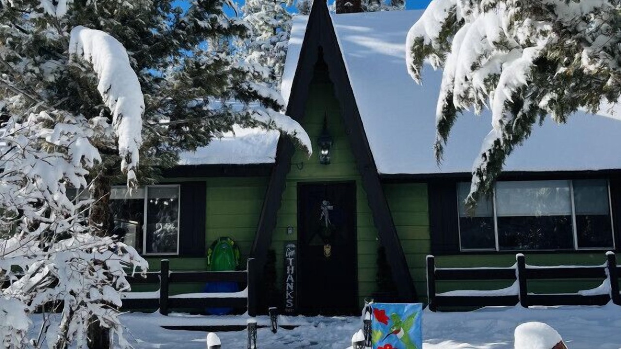 Photo of Outdoor in Whispering Forest