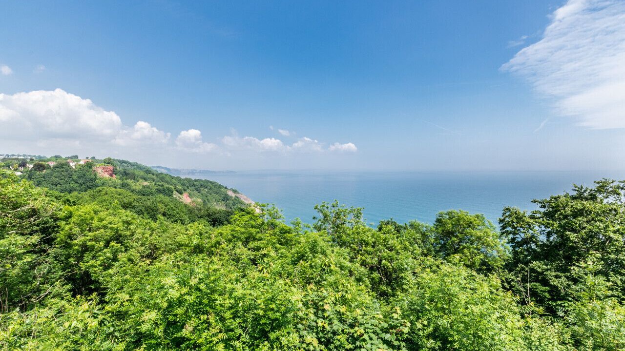 Photo of Bedroom in Babbacombe