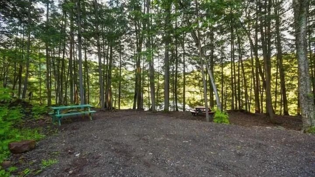 Photo of Outdoor in Bowman