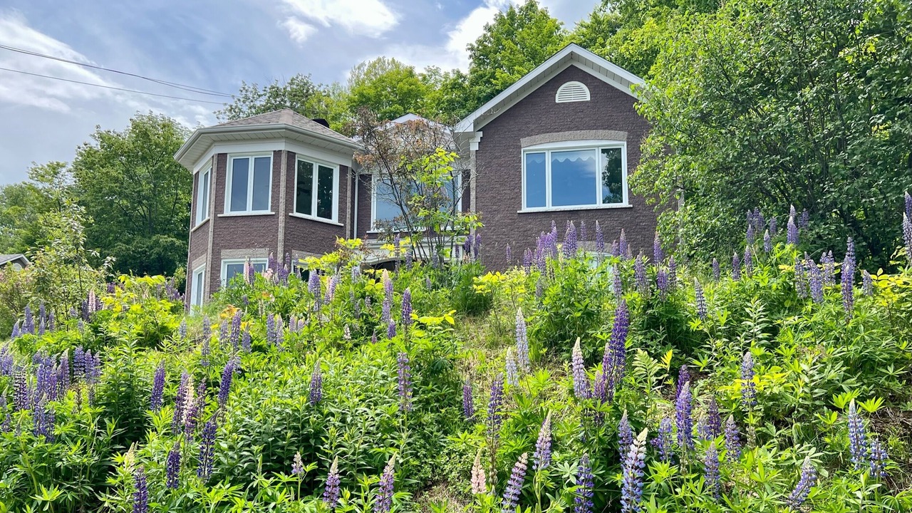 Photo of Outdoor in Coaticook