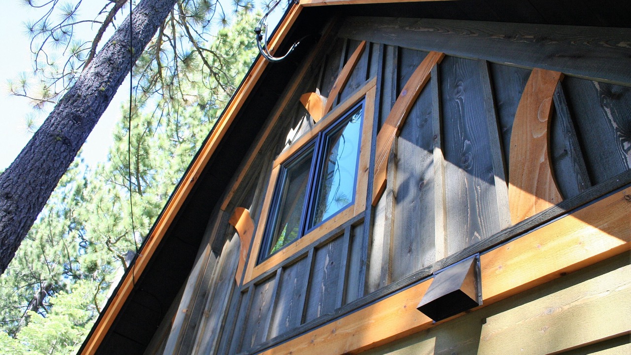 Photo of Outdoor in Pineland