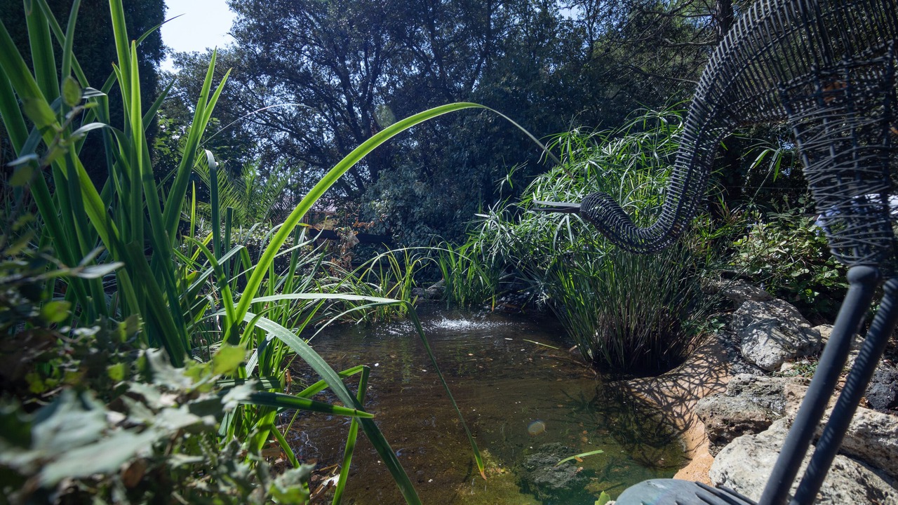 Photo of Outdoor in Cournonterral