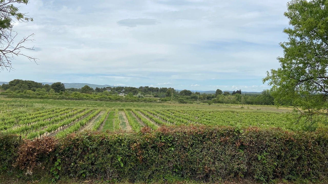 Photo of Outdoor in Cournonterral