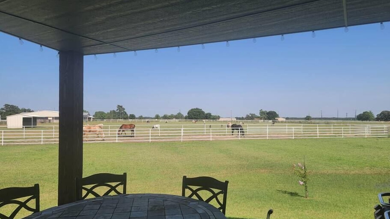 Photo of Outdoor in Weston