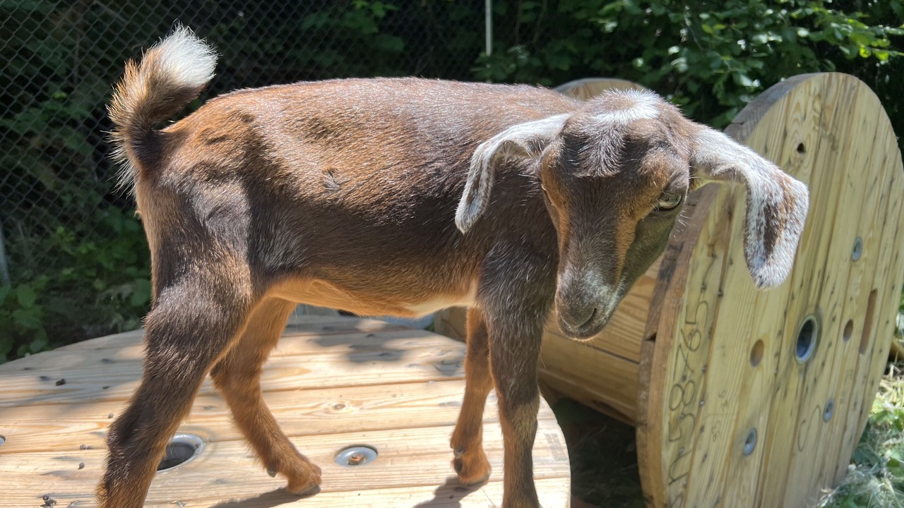 Photo of Outdoor in Boring