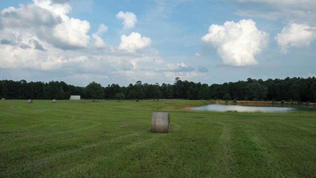 Photo of Others in Minden