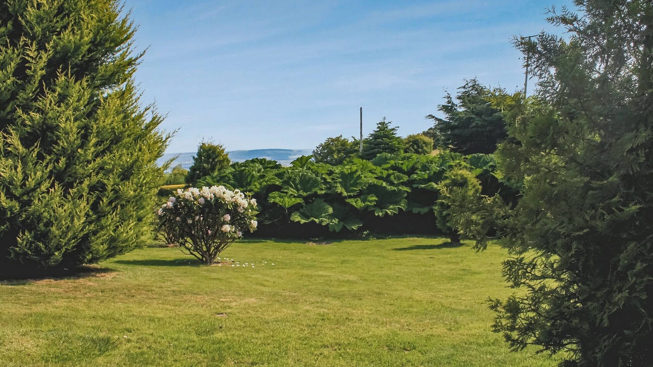 Photo of Outdoor in Stranraer