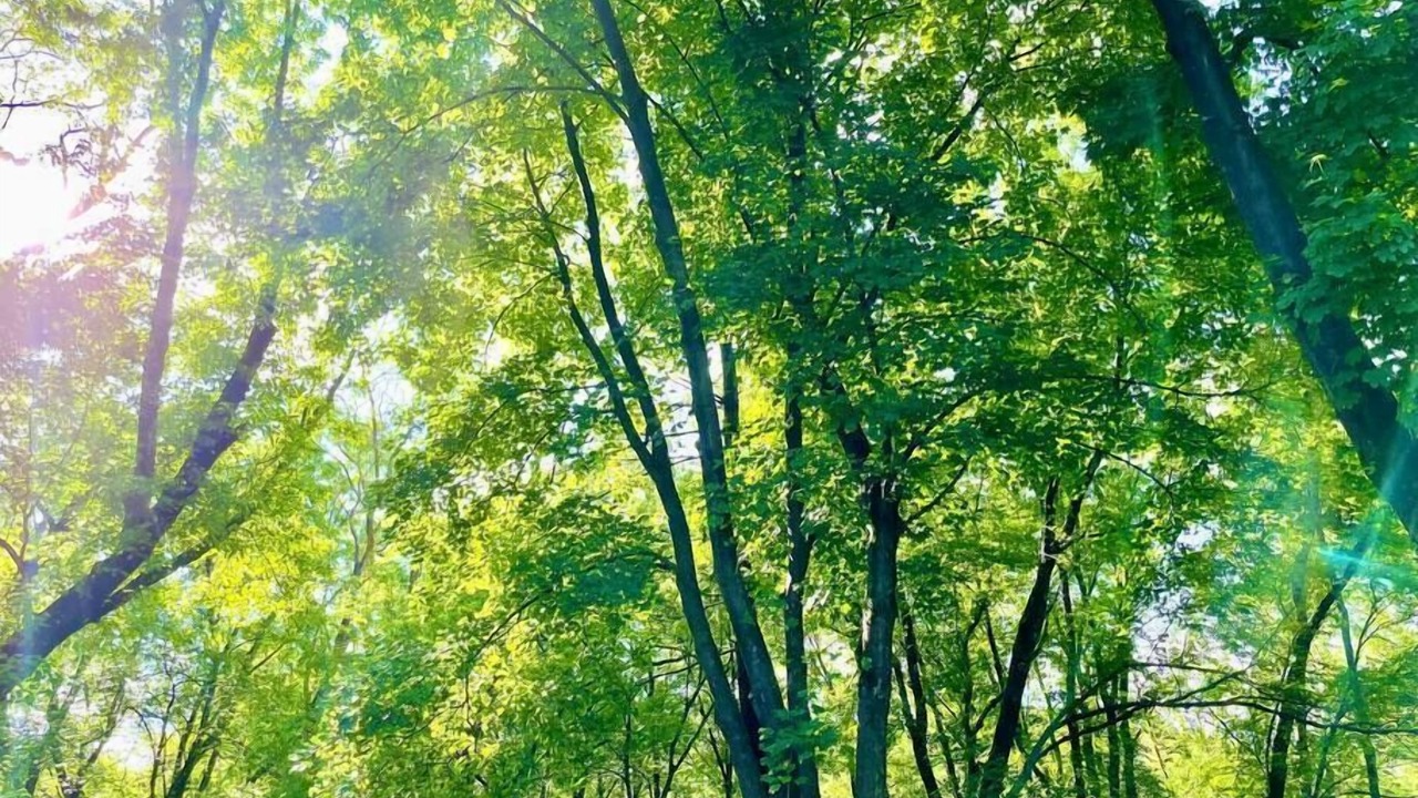 Photo of Outdoor in Montague