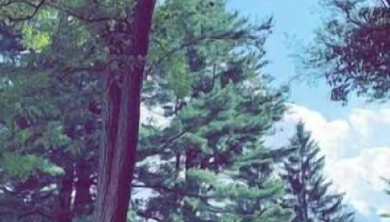 Photo of Others in Montague