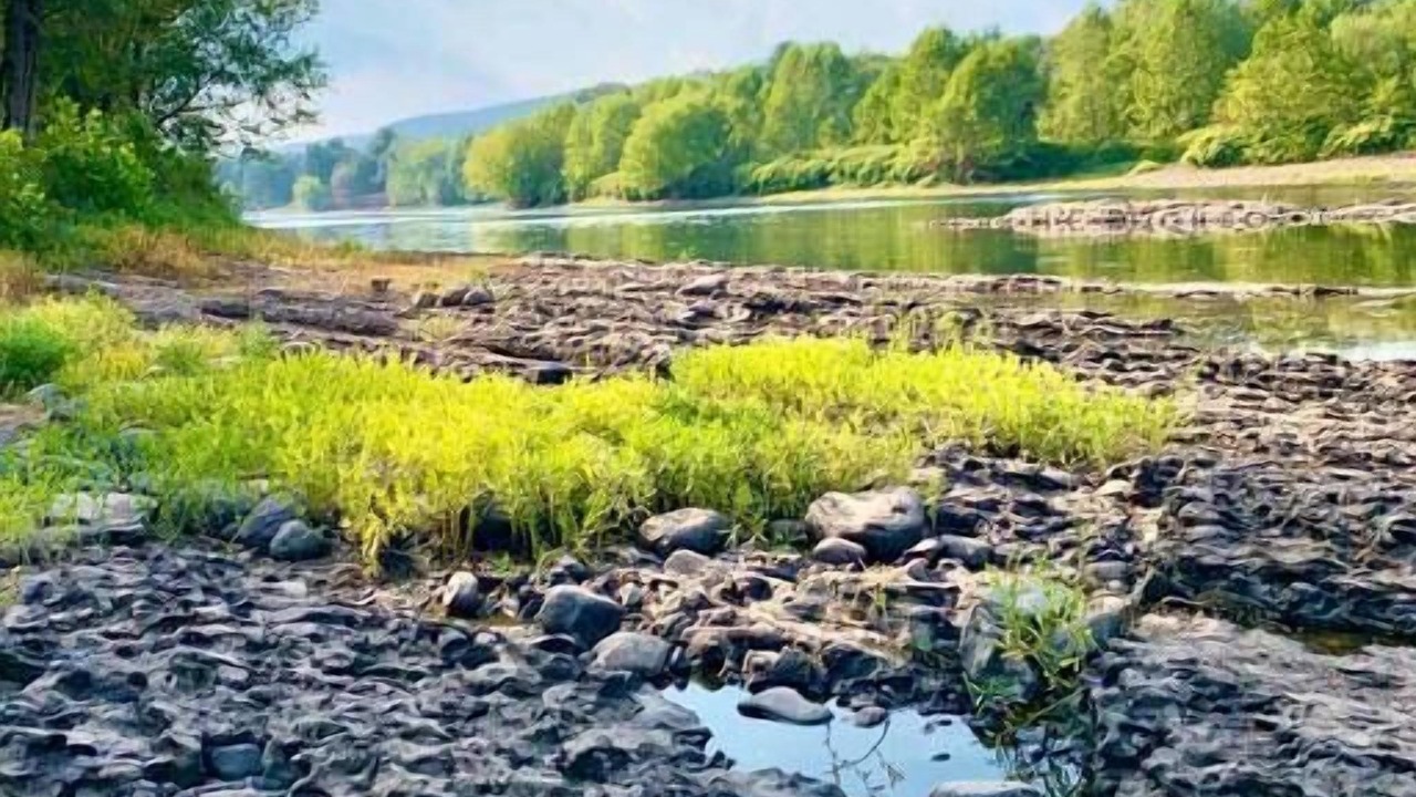 Photo of Others in Montague