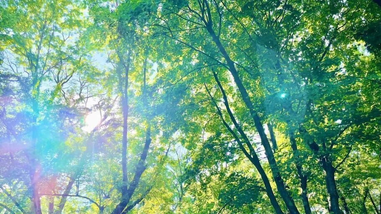 Photo of Outdoor in Montague