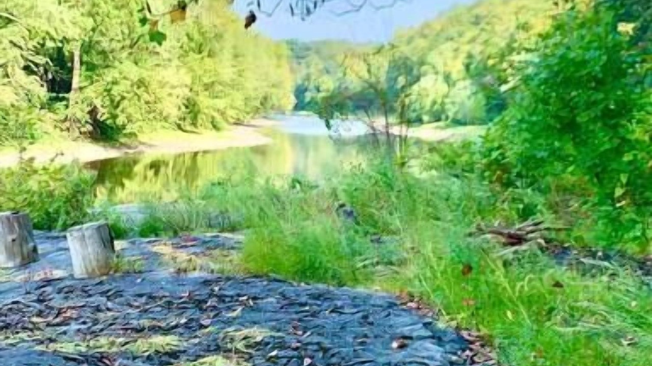 Photo of Others in Montague