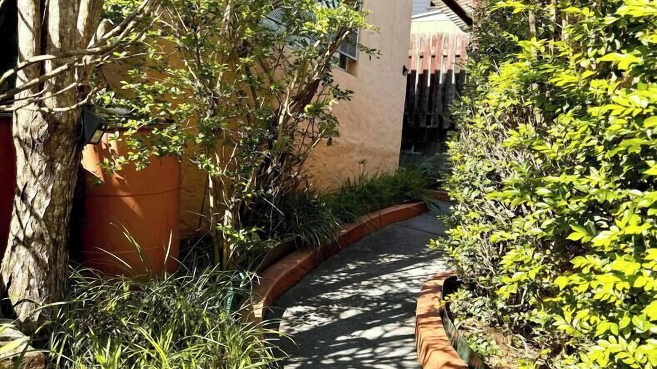 Photo of Others in Springwood