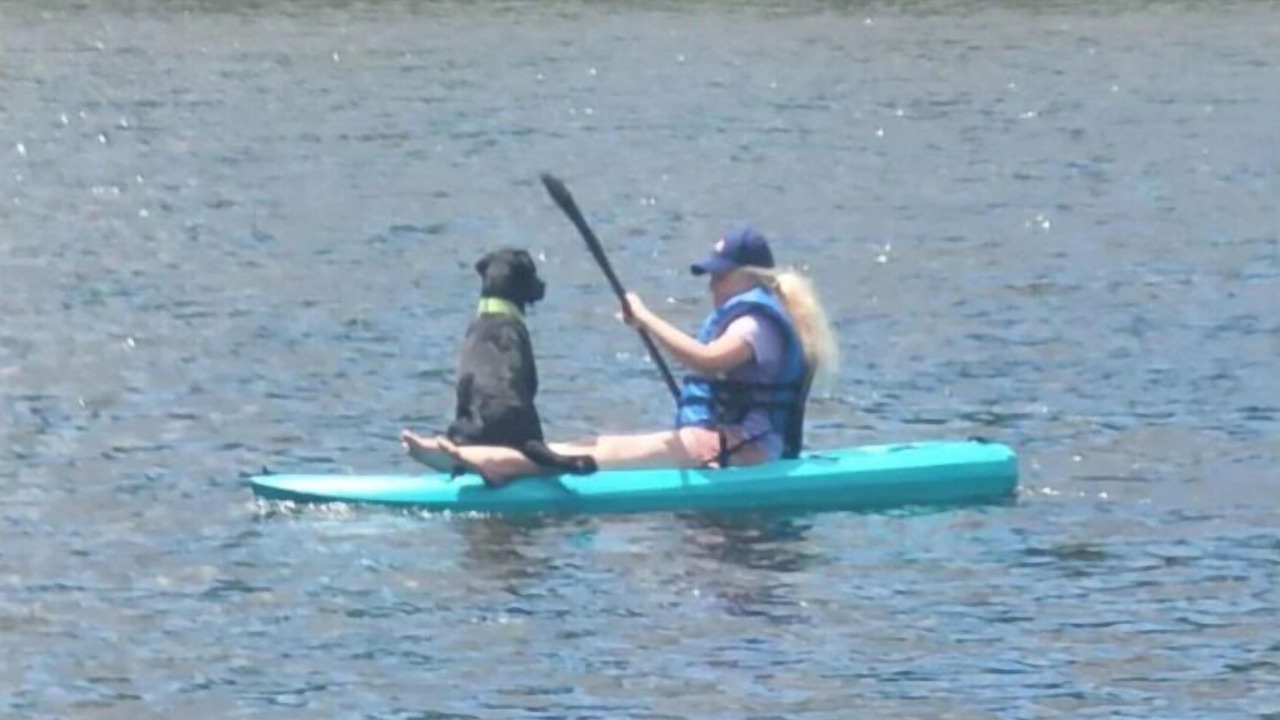 Photo of Others in Stewartstown