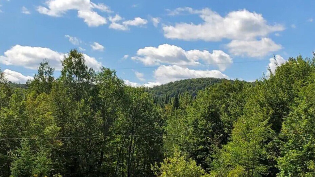 Photo of Others in Stewartstown