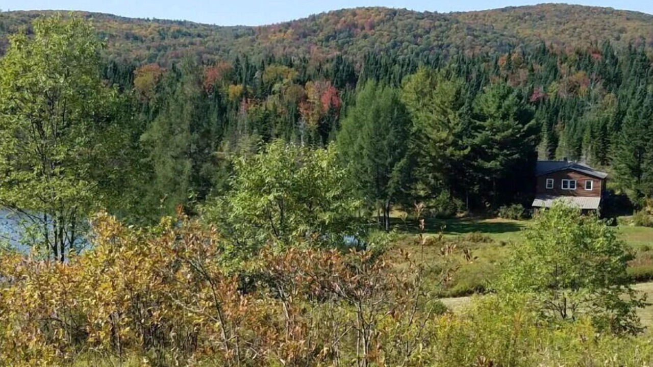 Photo of Others in Stewartstown