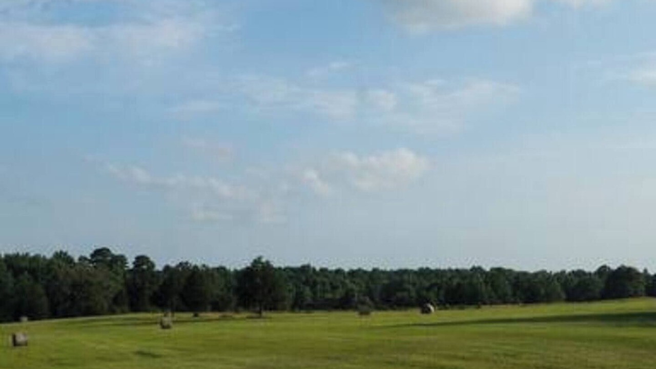 Photo of Others in Minden