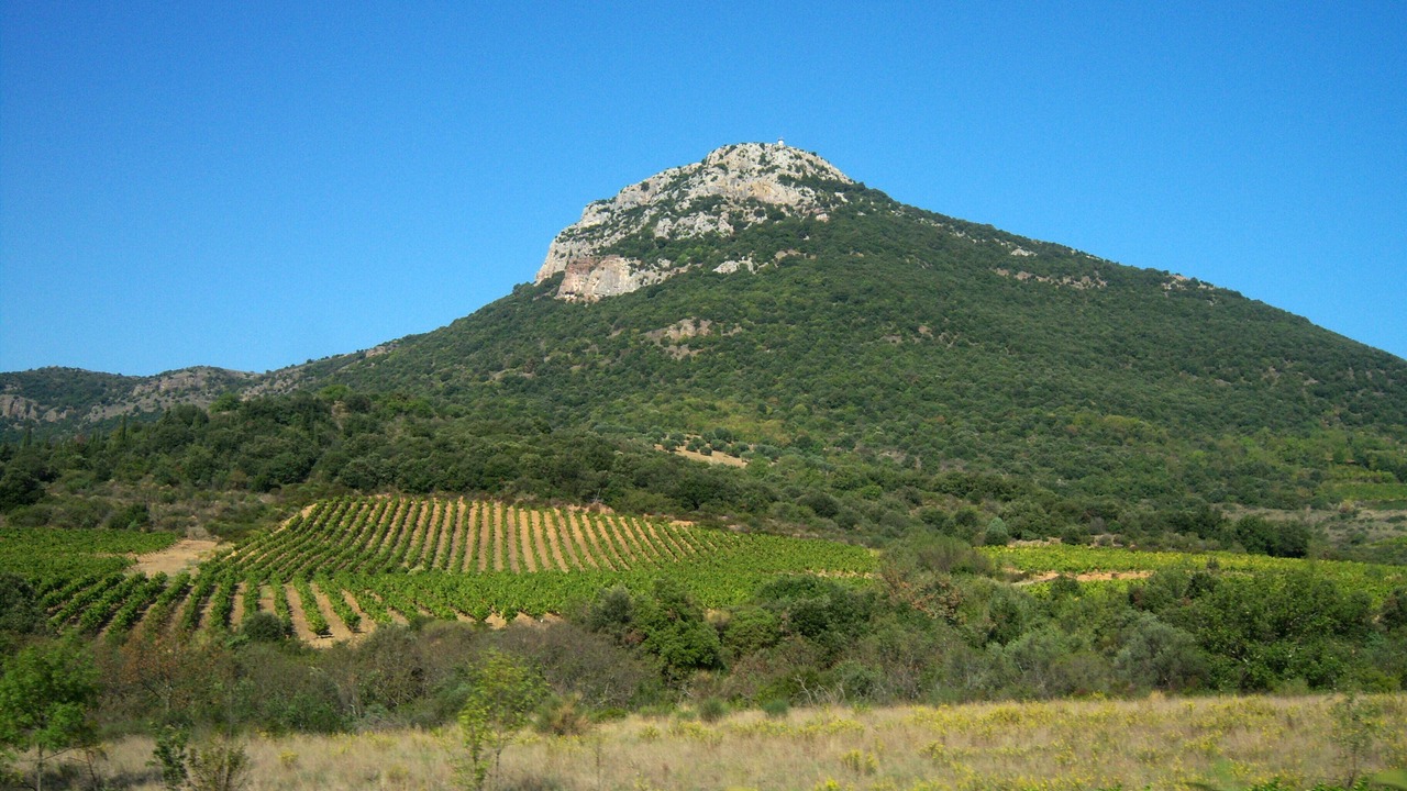 Photo of Others in Cabrieres