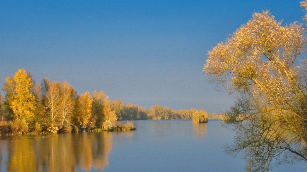 Photo of Others in Varennes sur Loire