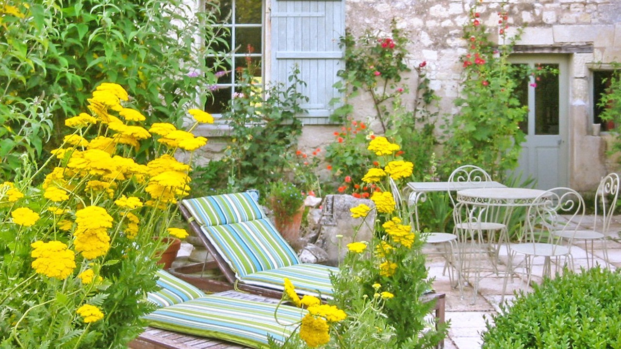 Photo of Outdoor in Varennes sur Loire